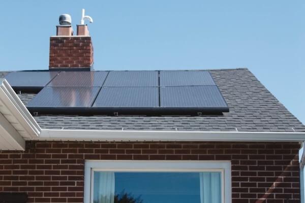 PEST CONTROL ST ALBANS, Hertfordshire. Services: Solar Panel Bird Proofing. Shield Your Solar Panels from Avian Intruders with Local Pest Control Ltd's Specialized Bird Proofing Services in St Albans